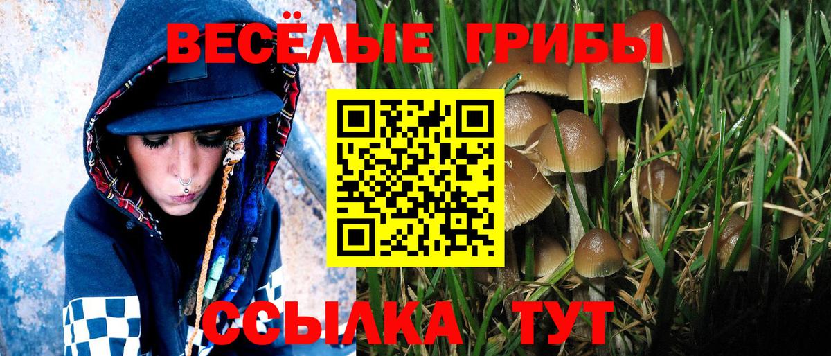 Псилоцибиновые грибы Magic Shrooms  Вход с VPN  хочу наркоту  Ростов Великий 
