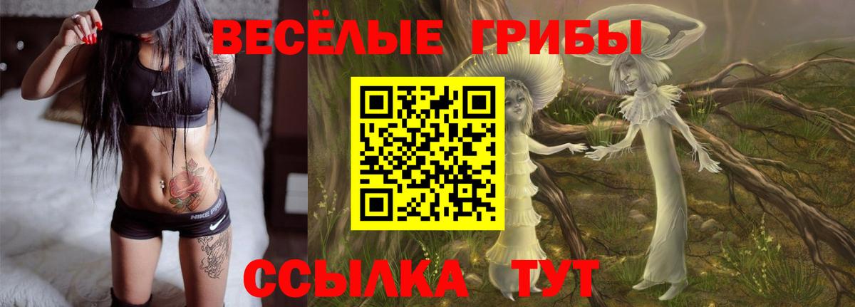 Псилоцибиновые грибы Psilocybine cubensis Ростов Великий